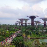 Gardens-by-the-Bay