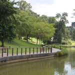 singapore-botanic-garden