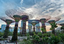 Gardens By the Bay