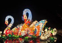 Không khí sôi động của các lễ hội mùa xuân ở Châu Á