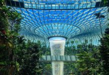 Sân bay Changi được cải tạo thành khu rừng nhân tạo độc đáo